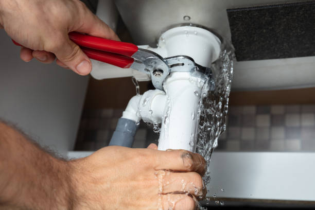 Best Water damage restoration experts  in Forest, OH