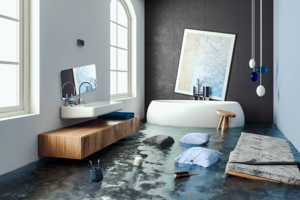 Best Mold removal after water damage  in Forest, OH