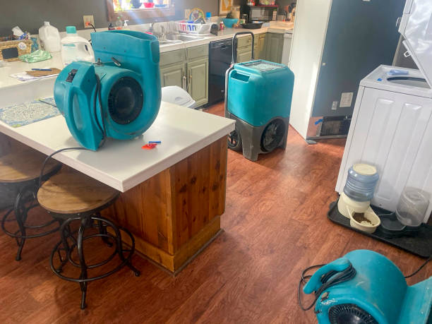 Best Residential water damage restoration  in Forest, OH