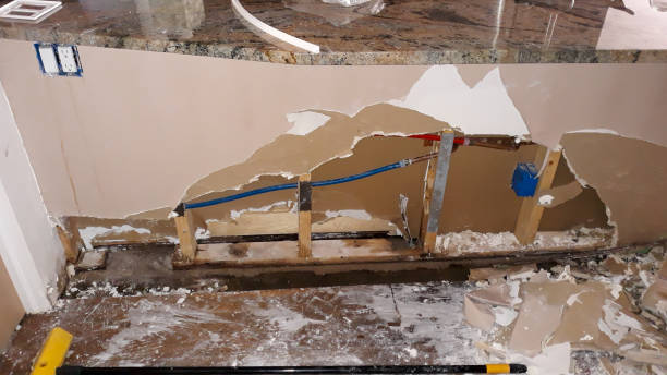 Best Ceiling water damage repair  in Forest, OH