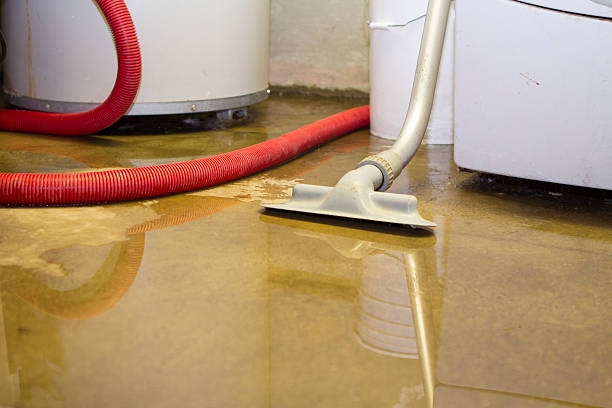 Best Water damage contractors near me  in Forest, OH