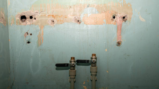 Best Emergency water damage restoration  in Forest, OH