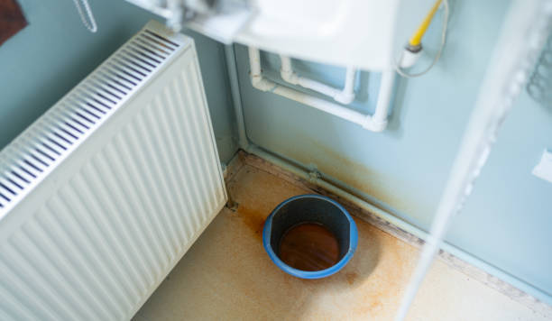 Forest, OH Water damage restoration Pros