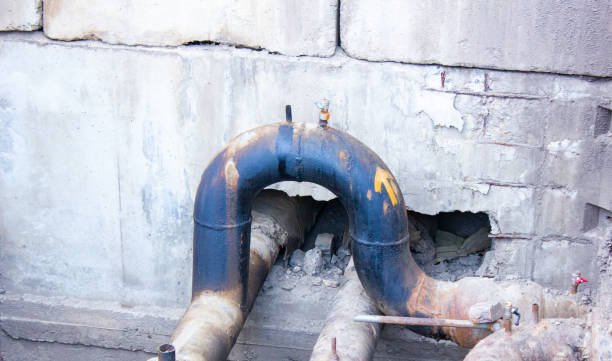 Best Water damage contractors near me  in Forest, OH