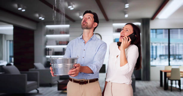 Best Water damage cleanup near me  in Forest, OH
